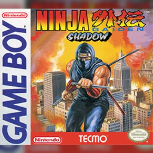 Shadow Warriors
