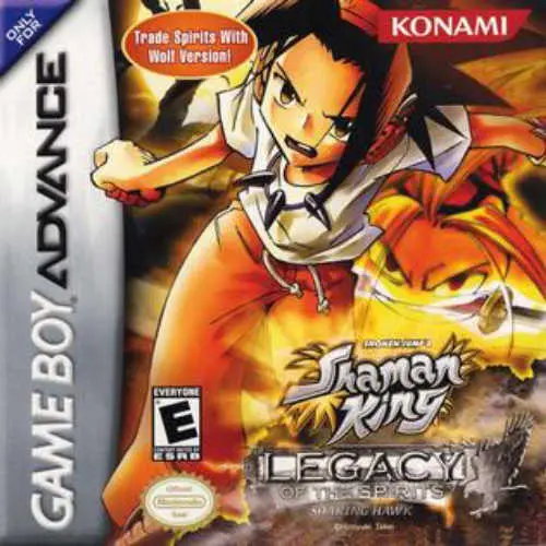Shonen Jump's - Shaman King - Legacy of the Spirits - Soaring Hawk