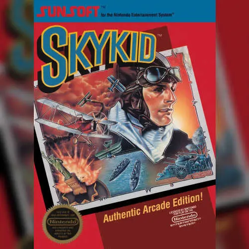 Sky Kid