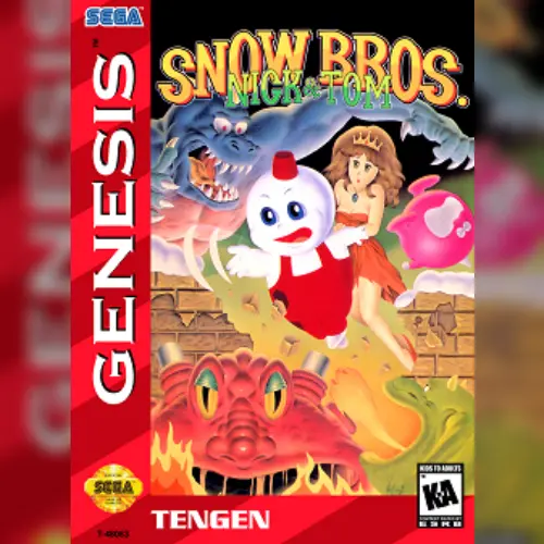 Snow Brothers