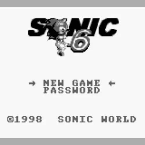 Sonic 6