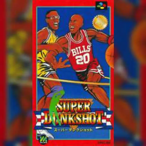 Super Dunk Shot