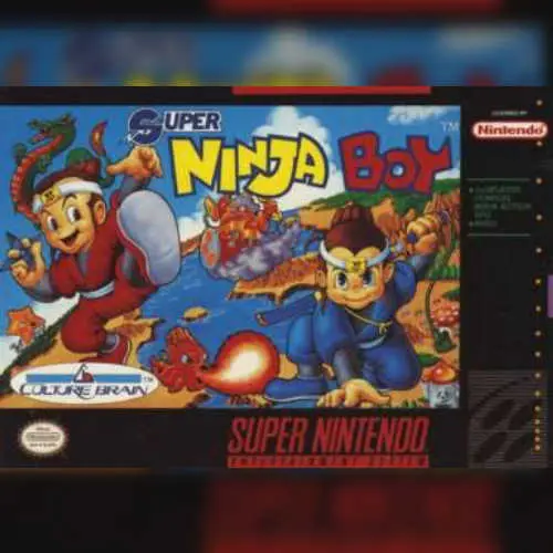 Super Ninja Boy