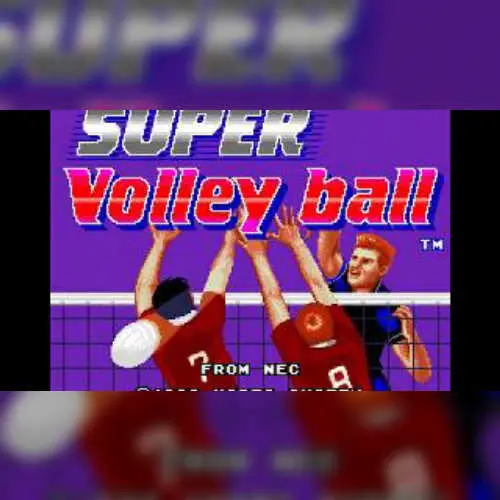 Super Volley Ball