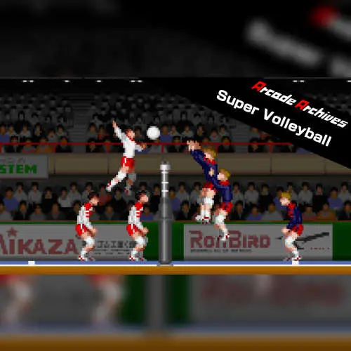 Super Volleyball