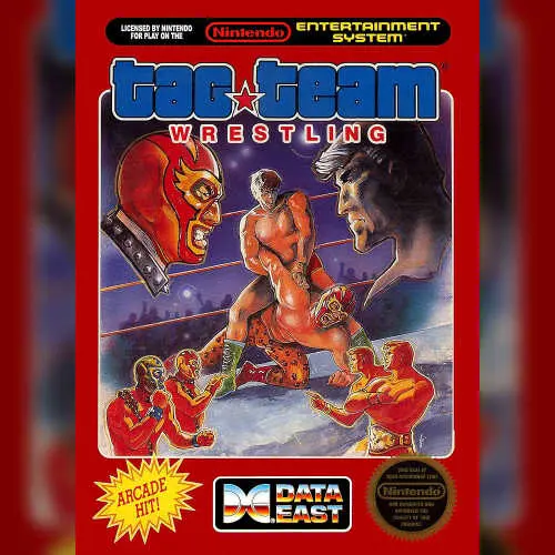 Tag Team Wrestling