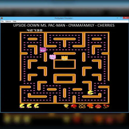 Upside Down Ms Pac-Man