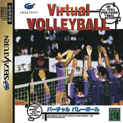 Virtual Volleyball