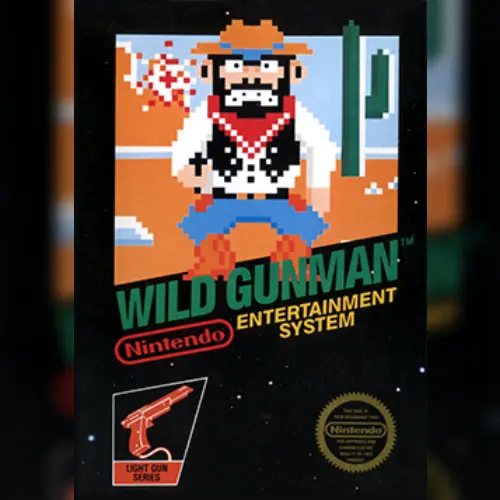 Wild Gunman