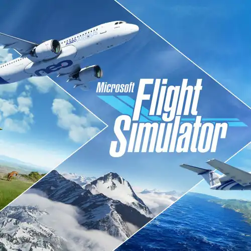 Flight Simulator